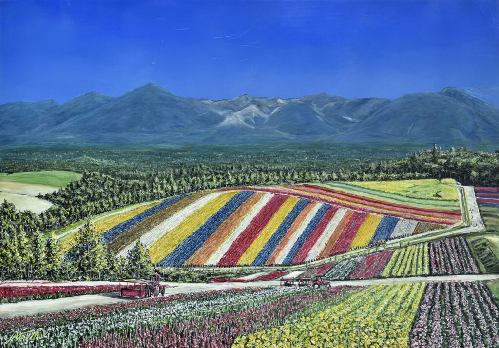 北海道・四季彩の丘：渥美 喜久